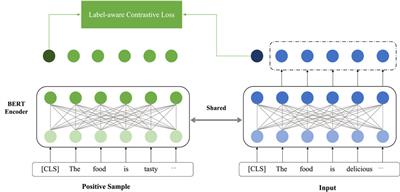A dual contrastive learning-based graph convolutional network with syntax label enhancement for aspect-based sentiment classification